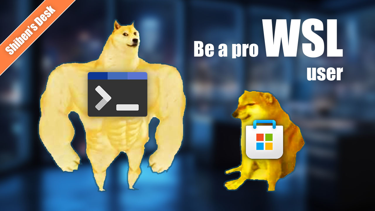 WSL - Use it as a Pro